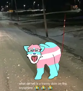 polabear.png