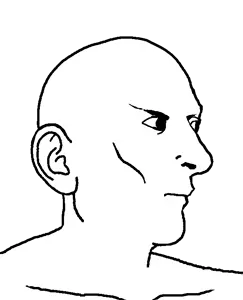 buffgineer.png