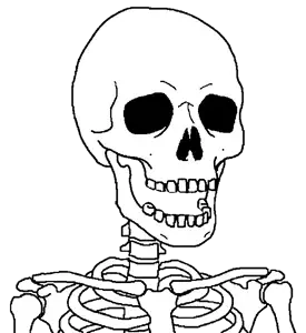 Untitled1546_20260609012251.png