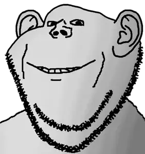 Untitled1553_20260609022223.png