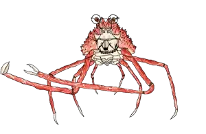 giant_japanese_spider_crab.png