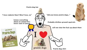 fgfg.png