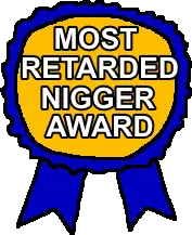RetardedNiggerAward.png