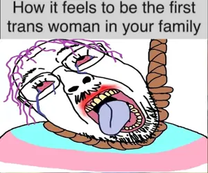 howitfeelstobethefirsttranswoman.png