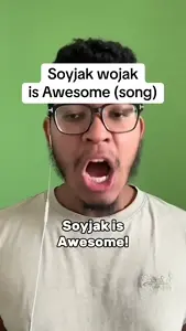 (archive) Soyjak wojak is Awesome (song) - Lreemss Archive (720p, h264).MP4