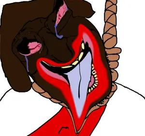 image(1).png