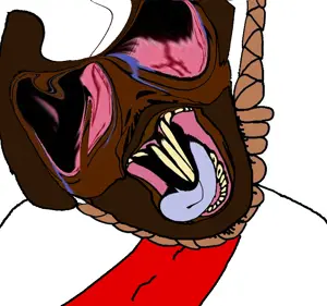 2437(8).png