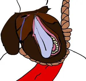 bernd, black skin, brown hair, christian, christianity, crying, distorted, eyebrows, front view, hair
