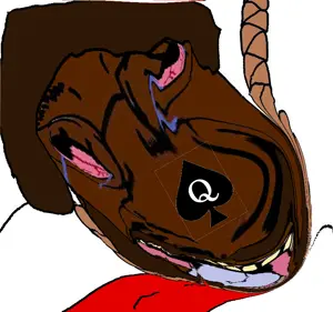 KRANG(9).png