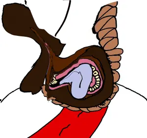 2437(11).png