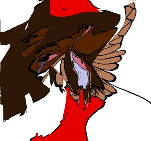 2437(13).png