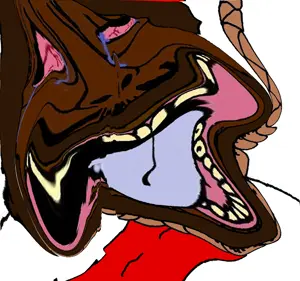 2437(18).png