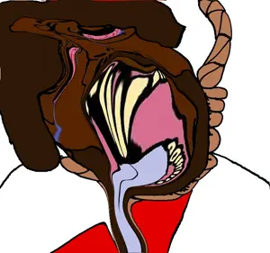 2437(21).png