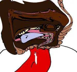 2437(22).png