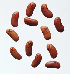 1AA212211111112A23-pigg.png