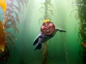 hunkyseal.mp4