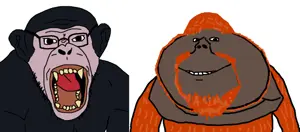 Captura de pantalla 2026-06-12 120628.png
