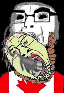 1781303409898.png