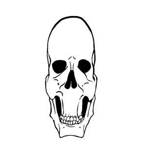 euroskull.png