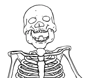 skullicia.jpg