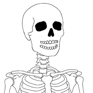 Untitled1608_20260613133348.png