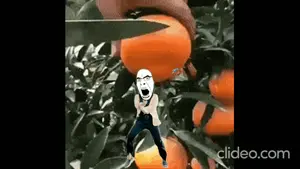 clideo_editor_a452d9fb877545988e0d00cb369a32eb-1.gif