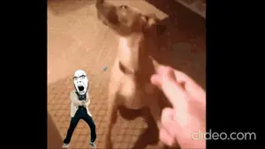 20260615_142402.gif
