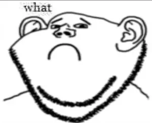 why.jpg