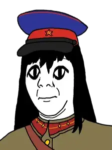 cptnkvd.png