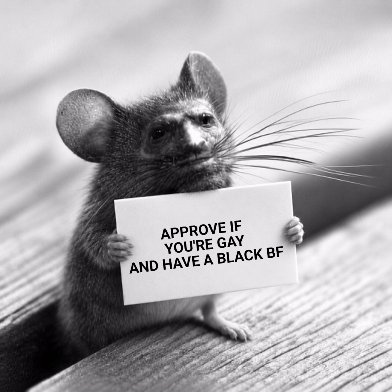gigachad, black eyes, closed mouth, front view, full body, gray fur, gray skin, irl background, looking at you, mouse