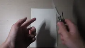 1667153976419.mp4
