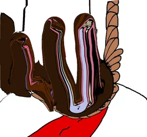 8888888888888888888888888888888(1).png