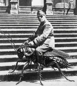 HKnPG-1XYAARidV.jpg