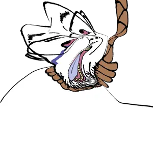 dbs3.png