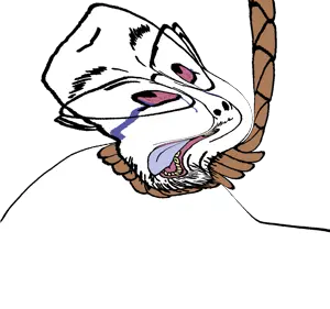 dbs2.png