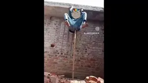bharat dance.mp4