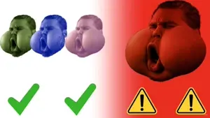 bird.mp4