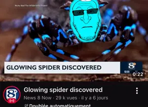 glowing_spider.jpg