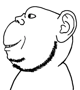jolly soyak ears side.png