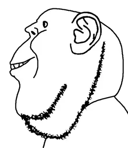 imp_side.png