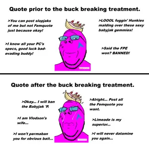 Punished quote.png