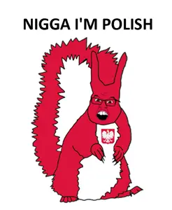 feraljak, feralsquirrel, squirreljak, angry, animal, arm, brown eyes, country, ear, flag