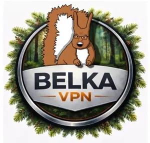 BelkaVPN.png