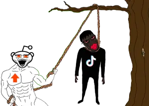 1AA2a22a111q111112A23-pigg.png
