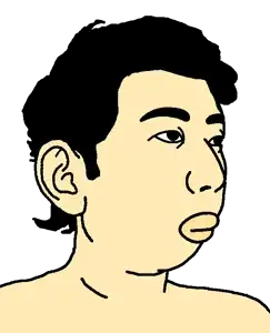 chinkjak.png