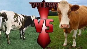 nigger cow.png