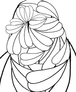 mouths.png
