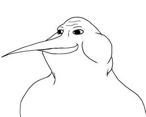 kiwimutt smile.png
