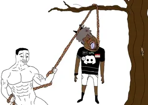 acked.jpg