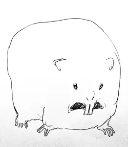 rodent.png